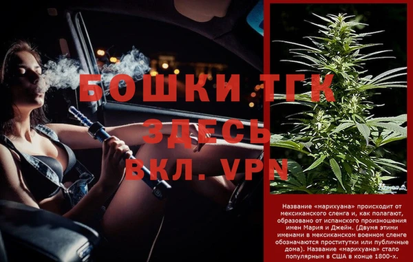 прущий лед Дмитриев