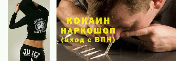 прущий лед Дмитриев