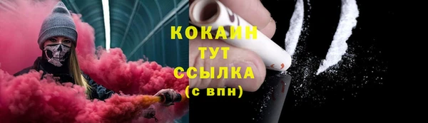 прущий лед Дмитриев