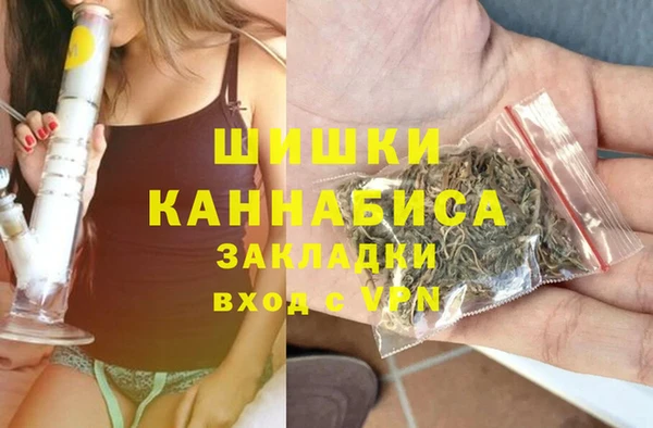 прущий лед Дмитриев