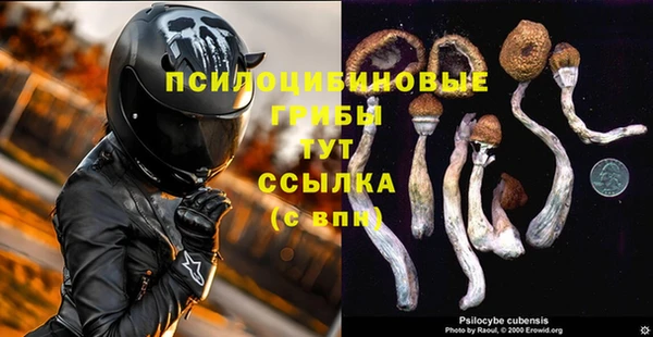 мяу мяу мука Дмитровск