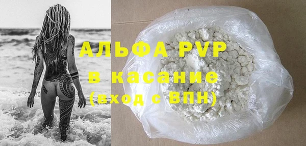прущий лед Дмитриев