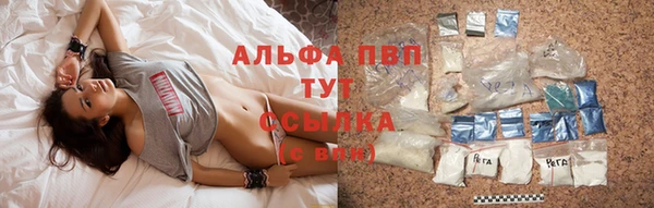 прущий лед Дмитриев