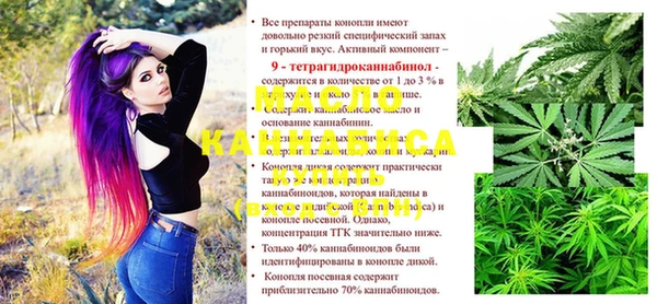 apvp Ельня